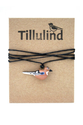 Pasknääriga kaelaehe