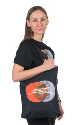 Kandekott "Täna öösel taipasin"