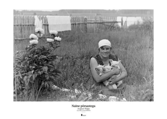 Poster "Naine põrsastega"