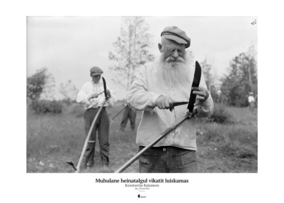 Poster "Muhulane heinatalgul"