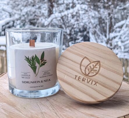 Lõhnaküünal puidust tahiga Sidrunhein-nelk