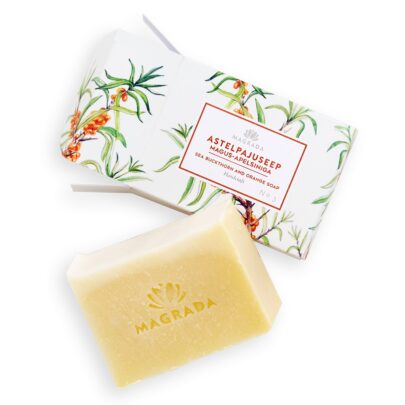 Astelpajuseep magus-apelsiniga