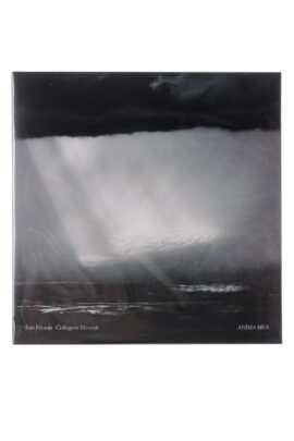 Vinüül Erki Pärnoja "Anima Mea"