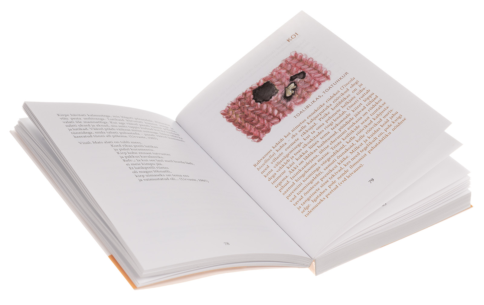 Väike putukaraamat rahvapärimusest - Image 2