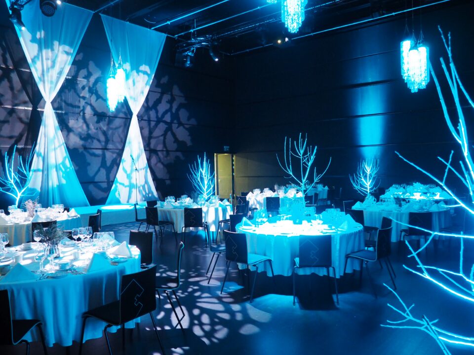 Pidu teatrisaalis ERM